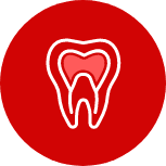 image of a root canal